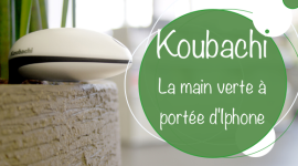 Test Koubachi : la main verte à portée d’Iphone