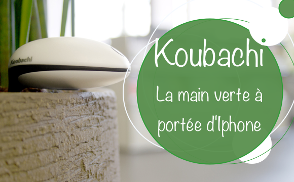 Test Koubachi : la main verte à portée d’Iphone